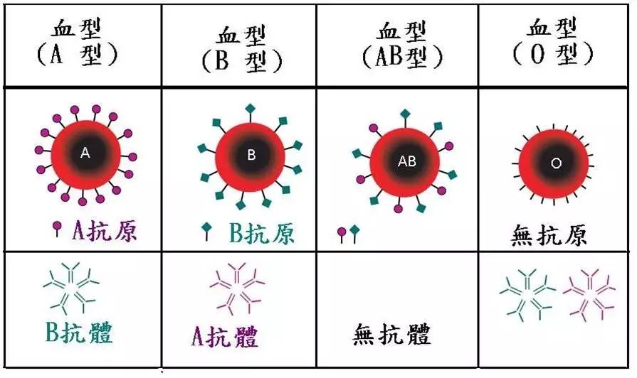 到底什么血型最招蚊子？你们要不要先统一下口径？