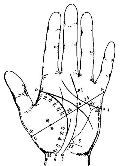 手相与年龄对照图，手相流年年龄段图解！